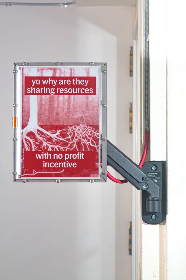 Installation shot of art work