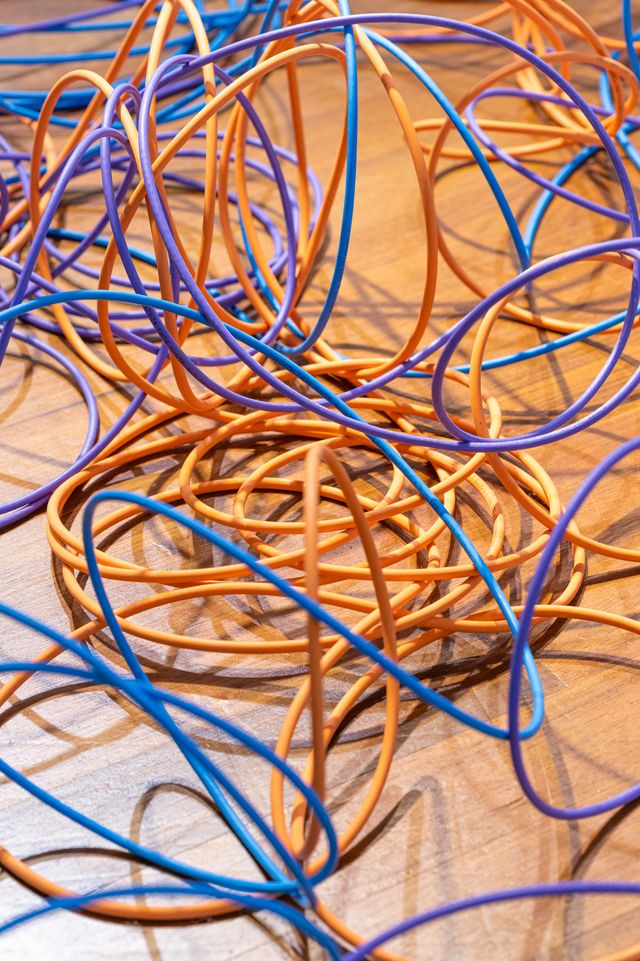 close up photograph of ethernet cables