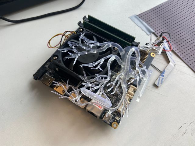 photo of server with tree