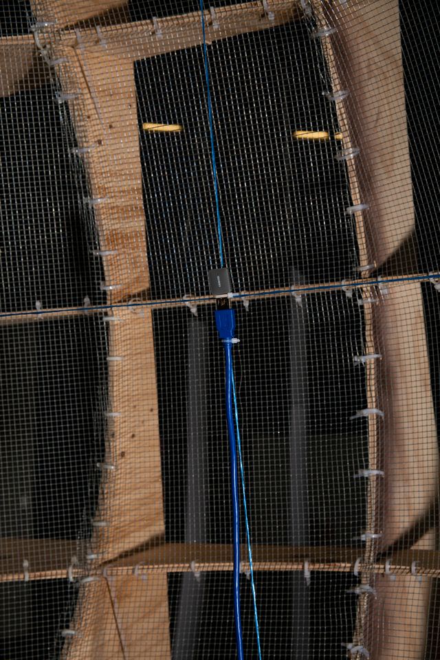 Close up of the wifi dish antenna