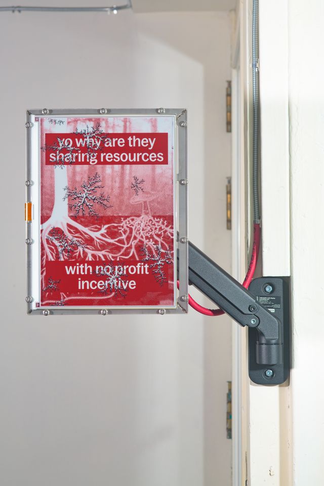 Installation shot of art work