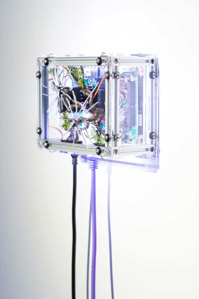 Photograph of server-sculpture