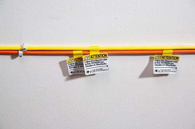 Photo of an Ethernet cable